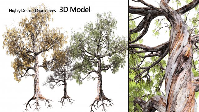 Gum Trees 3D Pack with Summer Fall and Winter Leaf Colors 3D 모델 .c4d .max .obj .3ds .fbx .stl .blend 