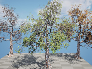 Gum Trees 3D Pack with Summer Fall and Winter Leaf Colors 3D 모델
