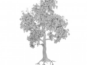 Gum Trees 3D Pack with Summer Fall and Winter Leaf Colors 3D 모델