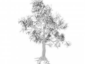 Gum Trees 3D Pack with Summer Fall and Winter Leaf Colors 3D 모델