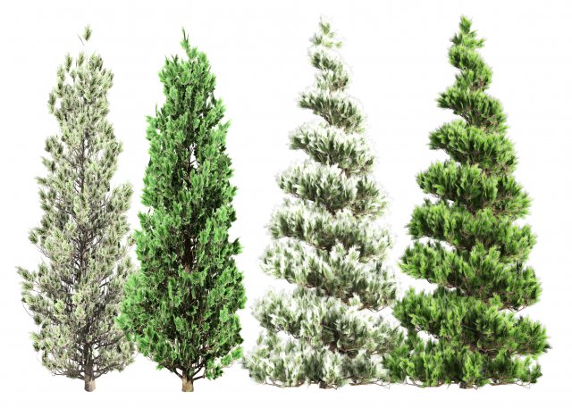 Green and Snow Coated Pine Trees Model 3D .c4d .max .obj .3ds .fbx .stl .blend 