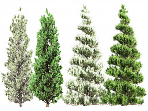 Green and Snow Coated Pine Trees 3D मॉडल