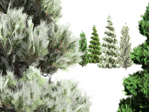 Green and Snow Coated Pine Trees 3D Model