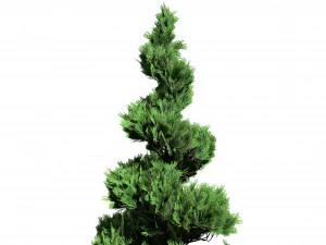 Green and Snow Coated Pine Trees 3D Model