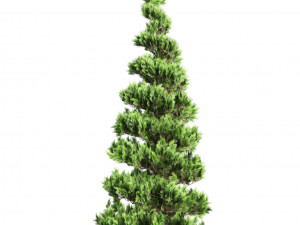 Green and Snow Coated Pine Trees Model 3D
