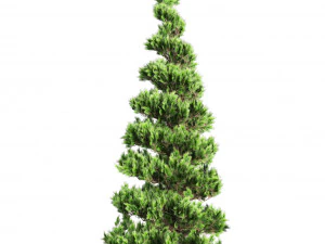 Green and Snow Coated Pine Trees 3D Model
