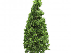 Green and Snow Coated Pine Trees Model 3D