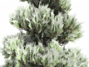 Green and Snow Coated Pine Trees Model 3D