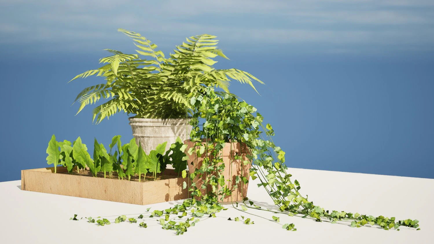 Pot plant trio 3d pack 3D Model .c4d .max .obj .3ds .fbx .stl .blend