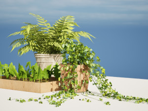Pot plant trio 3d pack 3Dモデル