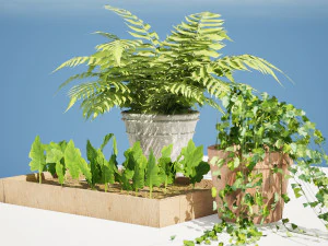 Pot plant trio 3d pack 3D Model