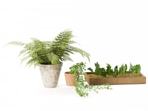 Pot plant trio 3d pack 3D Model