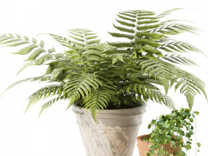 Pot plant trio 3d pack 3D Model