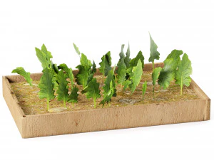 Pot plant trio 3d pack 3D Model