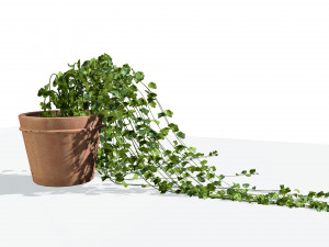 Pot plant trio 3d pack 3D 模型