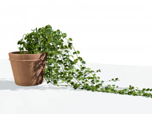 Pot plant trio 3d pack 3D Model