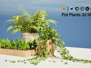 Pot plant trio 3d pack 3D 模型