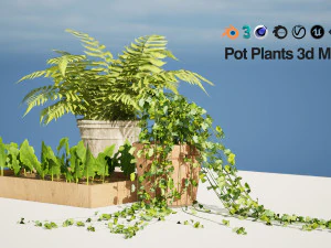 Pot plant trio 3d pack 3D Model