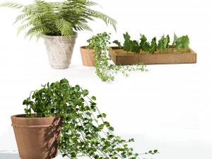 Pot plant trio 3d pack 3D Model