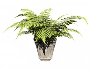 Pot plant trio 3d pack 3D Model