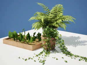Pot plant trio 3d pack 3D Model