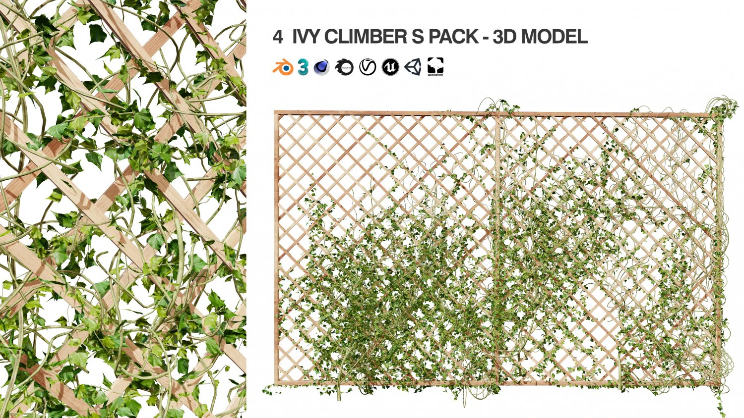 Wood Mesh Wall with Ivy Climber 3D Model .c4d .max .obj .3ds .fbx .stl .blend 