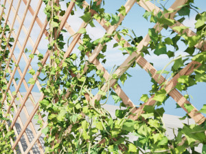 Wood Mesh Wall with Ivy Climber Model 3D