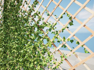 Wood Mesh Wall with Ivy Climber 3D Model