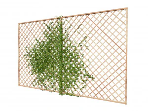 Wood Mesh Wall with Ivy Climber 3D Model