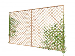 Wood Mesh Wall with Ivy Climber Model 3D