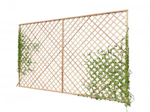 Wood Mesh Wall with Ivy Climber 3D Model