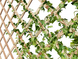 Wood Mesh Wall with Ivy Climber Model 3D