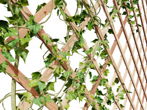 Wood Mesh Wall with Ivy Climber Model 3D