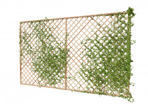 Wood Mesh Wall with Ivy Climber Model 3D