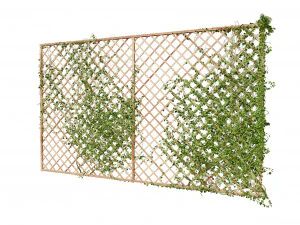 Wood Mesh Wall with Ivy Climber 3D Model