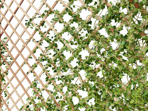 Wood Mesh Wall with Ivy Climber Model 3D