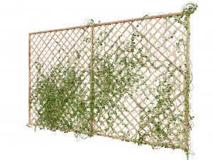 Wood Mesh Wall with Ivy Climber 3D Model