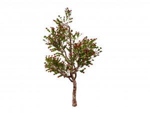 2 Flowering trees Tropical Ohia Lehua Trees of Hawaii 3D 모델