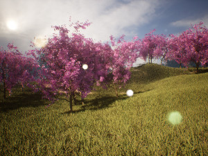 Blossom Sikora forest trees 3d scene 3D 모델