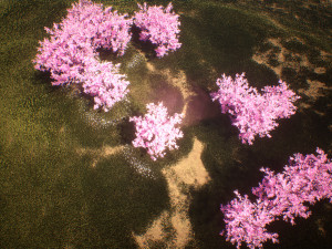 Blossom Sikora forest trees 3d scene 3D 모델