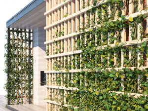 Modern Pergola Retreat 3D Model