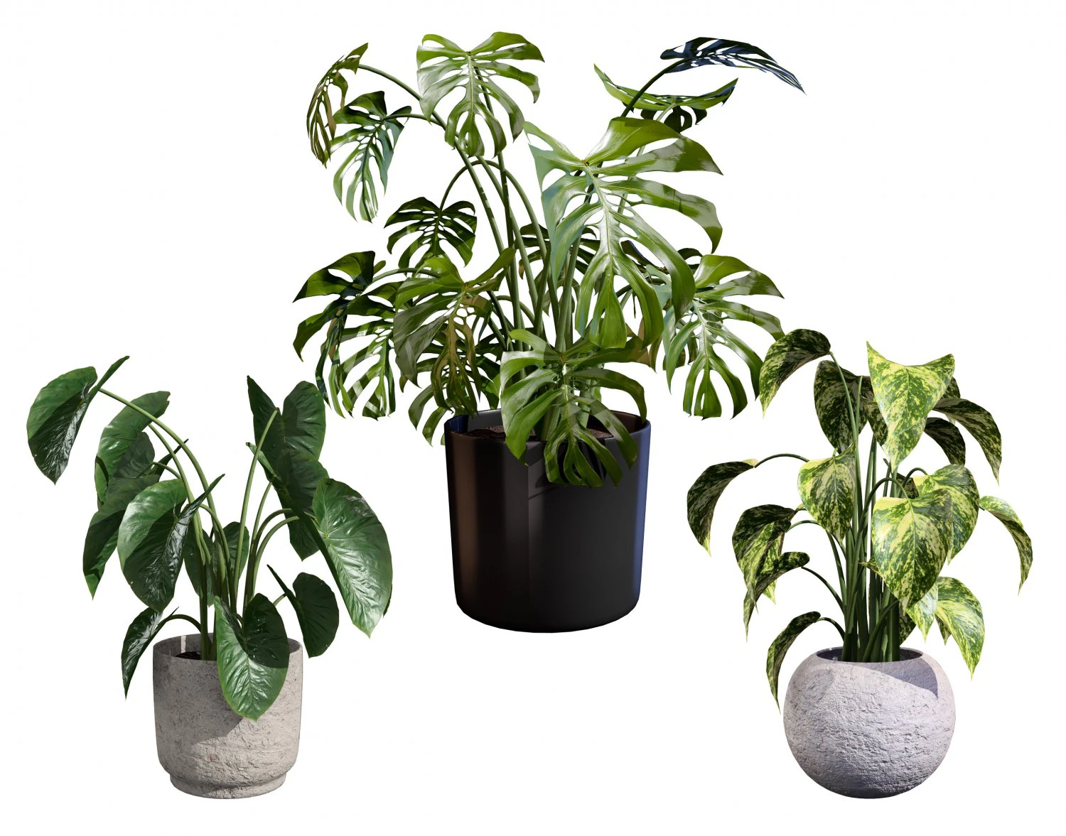 Trio di delizie tropicali Modello 3D .c4d .max .obj .3ds .fbx .stl .blend 