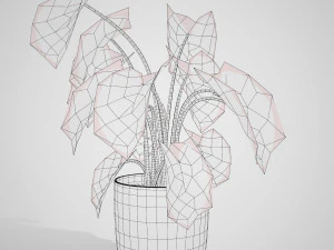 Trio di delizie tropicali Modello 3D