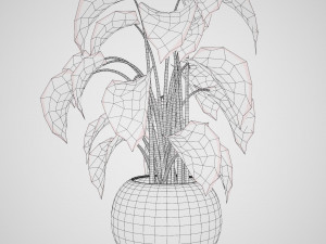 Trio of Tropical Delights 3D-Modell
