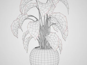 Trio di delizie tropicali Modello 3D