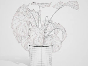 Trio di delizie tropicali Modello 3D