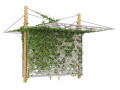 Outdoor Decor with Stylish Shades and Cascading Ivy Greenery 3D मॉडल