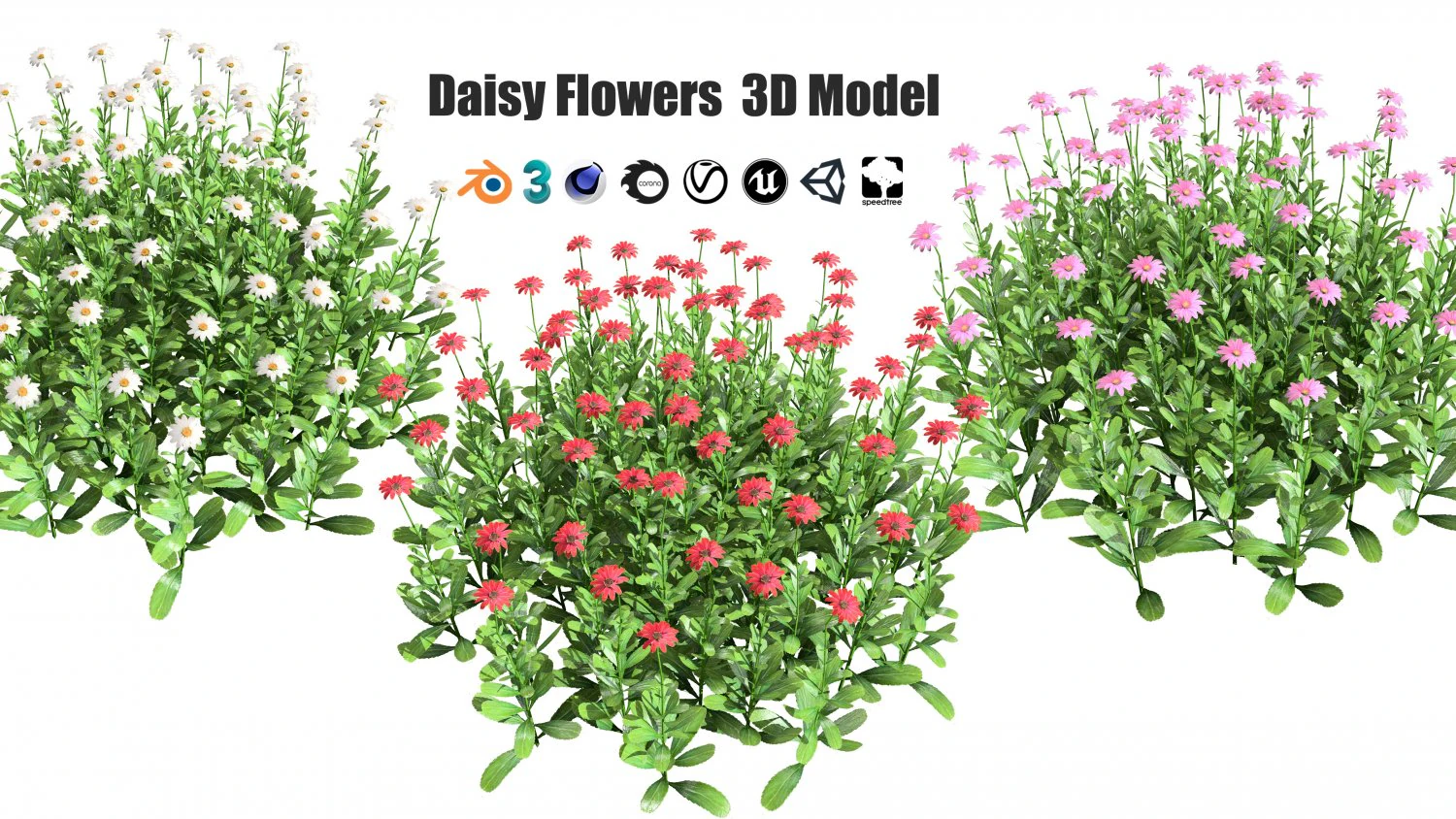 Colorful Common Daisy flowers bush 3D Model .c4d .max .obj .3ds .fbx .stl .blend 