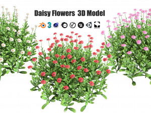 Colorful Common Daisy flowers bush 3D Модель