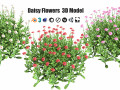 Colorful Common Daisy flowers bush Model 3D